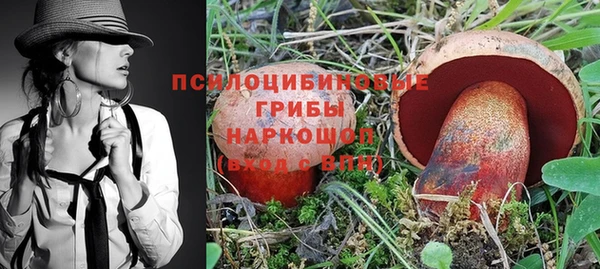 a pvp Аркадак