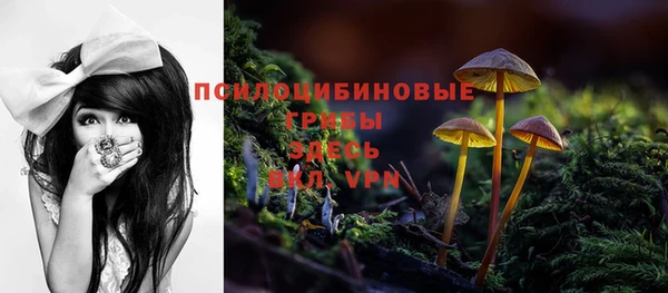 круглые Армянск