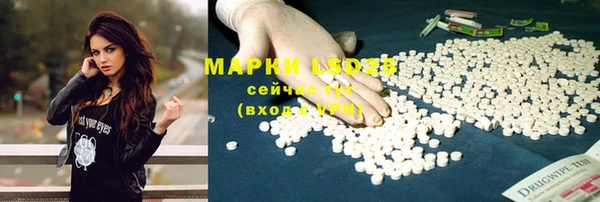 a pvp Аркадак